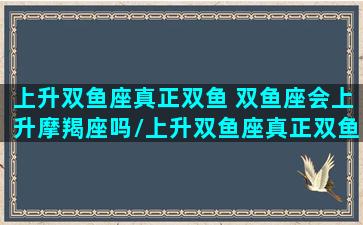 上升双鱼座真正双鱼 双鱼座会上升摩羯座吗/上升双鱼座真正双鱼 双鱼座会上升摩羯座吗-我的网站